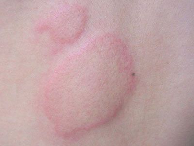 ����ʳ������ݡ������
